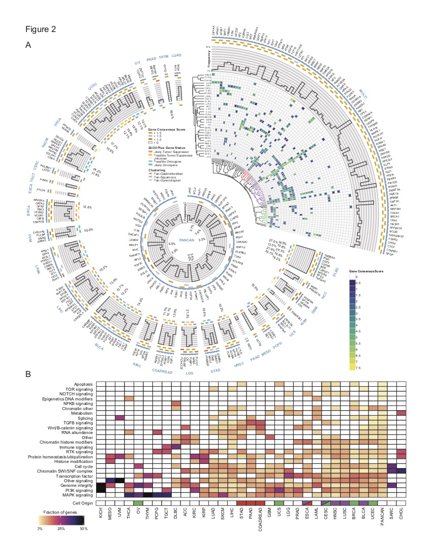 Driver alterations in cancer genomes